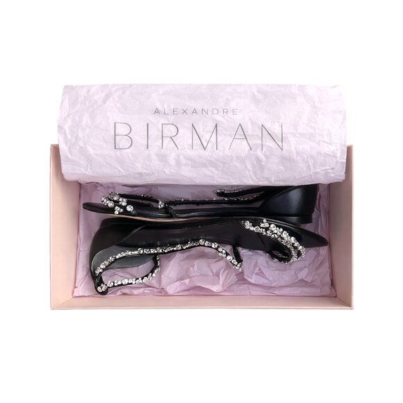 ALEXANDRE BIRMAN Demi Crystals Flats - Picture 2 of 8